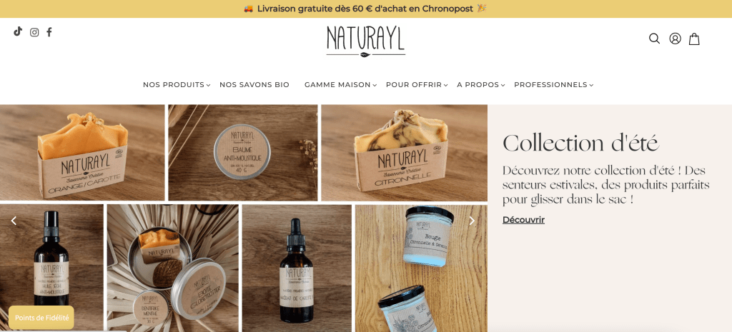 Développeur Shopify - Naturayl - maintenance mensuelle